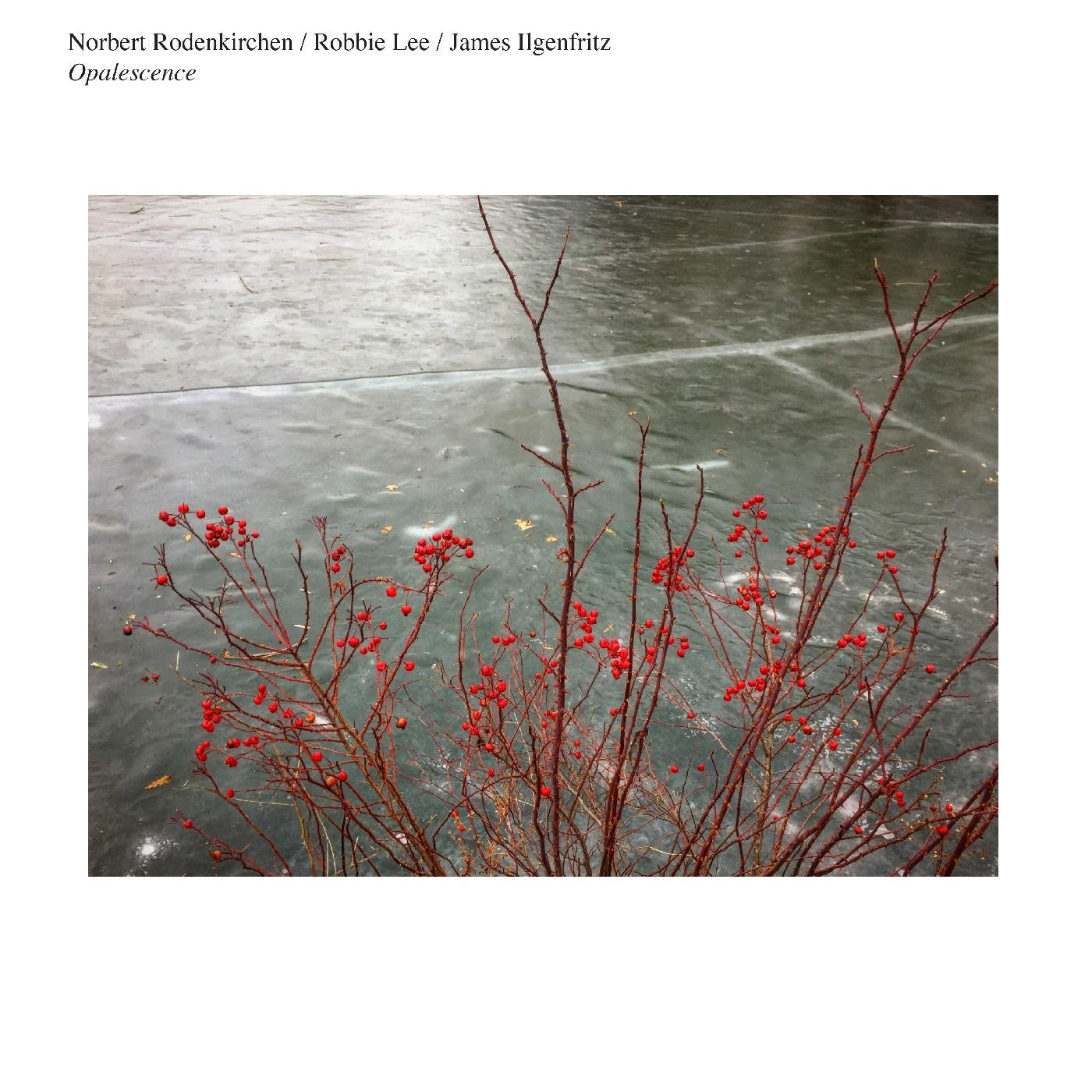 Norbert Rodenkirchen/Robbie Lee/James Ilgenfritz - Opalescence (Vinyl) | Mint (M) Mint (M) - CLASSICAL *NEW*