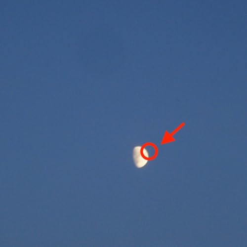 Fake Moon |