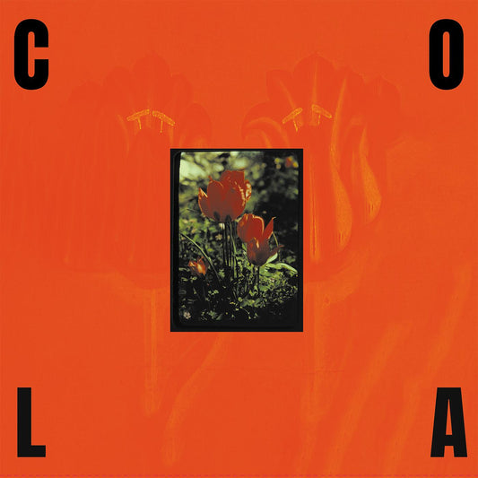 The Gloss (Black In Orange Vinyl) |