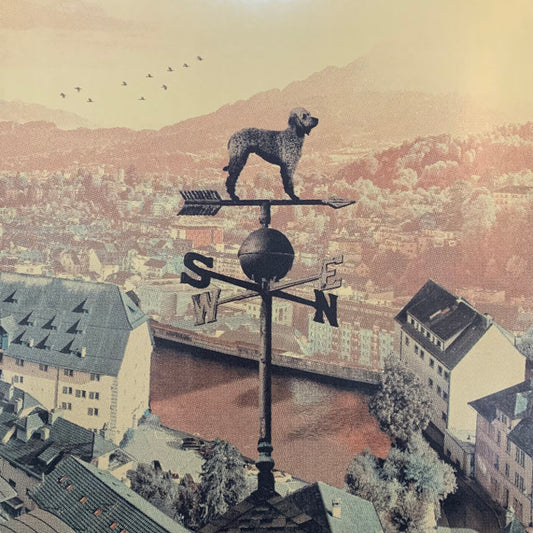 Weathervane | Mint (M) Mint (M) - ALT/INDIE *SEALED/COLOR*