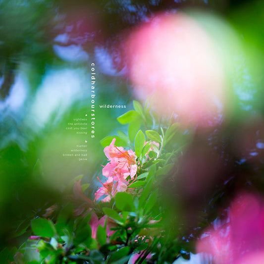 Wilderness |