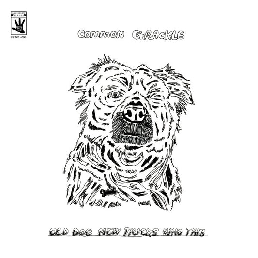Old Dog New Tricks Who This | Mint (M) Mint (M)