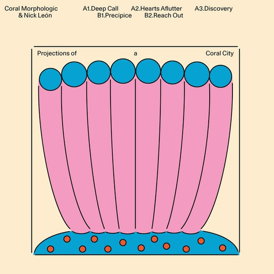 Projections of a Coral City |