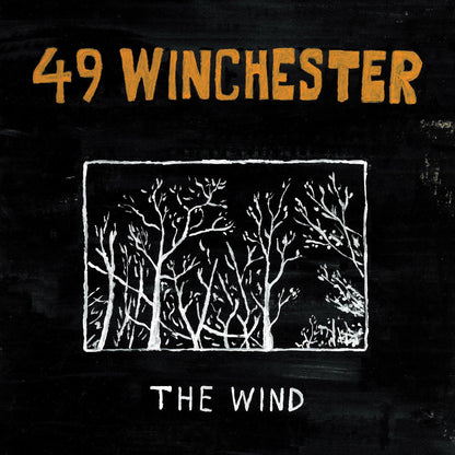The Wind (IEX | WHITE VINYL) | Mint (M) Mint (M) - COUNTRY *NEW/COLOR*