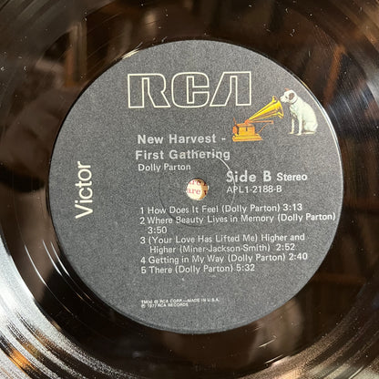 New Harvest ... First Gathering *PROMO* (VINYL) | Near Mint (NM) Very Good Plus (VG+) - COUNTRY / USED *NEAR MINT*
