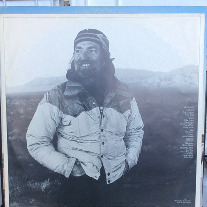 Always On My Mind (VINYL) | Near Mint (NM) Excellent (EX) - COUNTRY / USED *NEAR MINT*