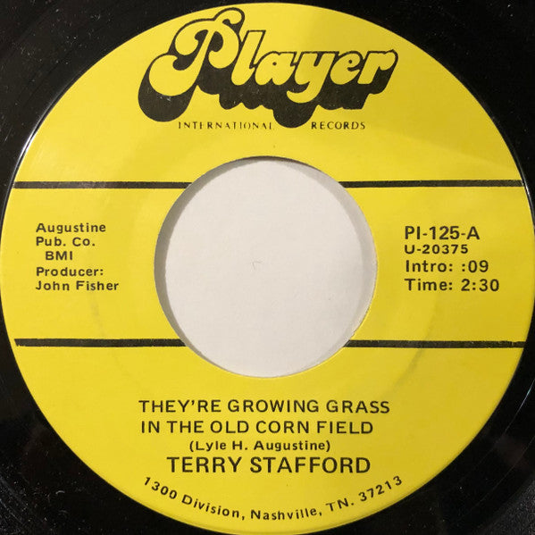 Terry Stafford - They’re Growing Grass In The Old Corn Field / Strangers With The Same Last Name | Near Mint (NM) Generic - COUNTRY / USED *NEAR MINT*