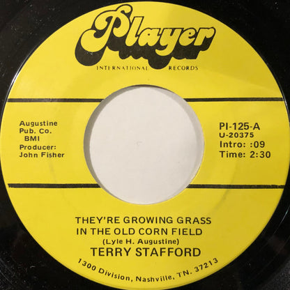 Terry Stafford - They’re Growing Grass In The Old Corn Field / Strangers With The Same Last Name | Near Mint (NM) Generic - COUNTRY / USED *NEAR MINT*