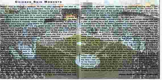 Live At Fenway Park (3xCD) | Very Good Plus (VG+) Excellent (EX) - COUNTRY / USED *VERY GOOD+*