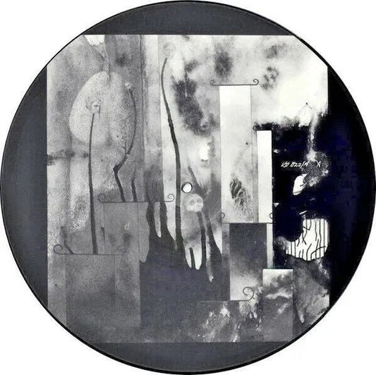 Current 93 - In Menstrual Night (12" Picture Disc) |