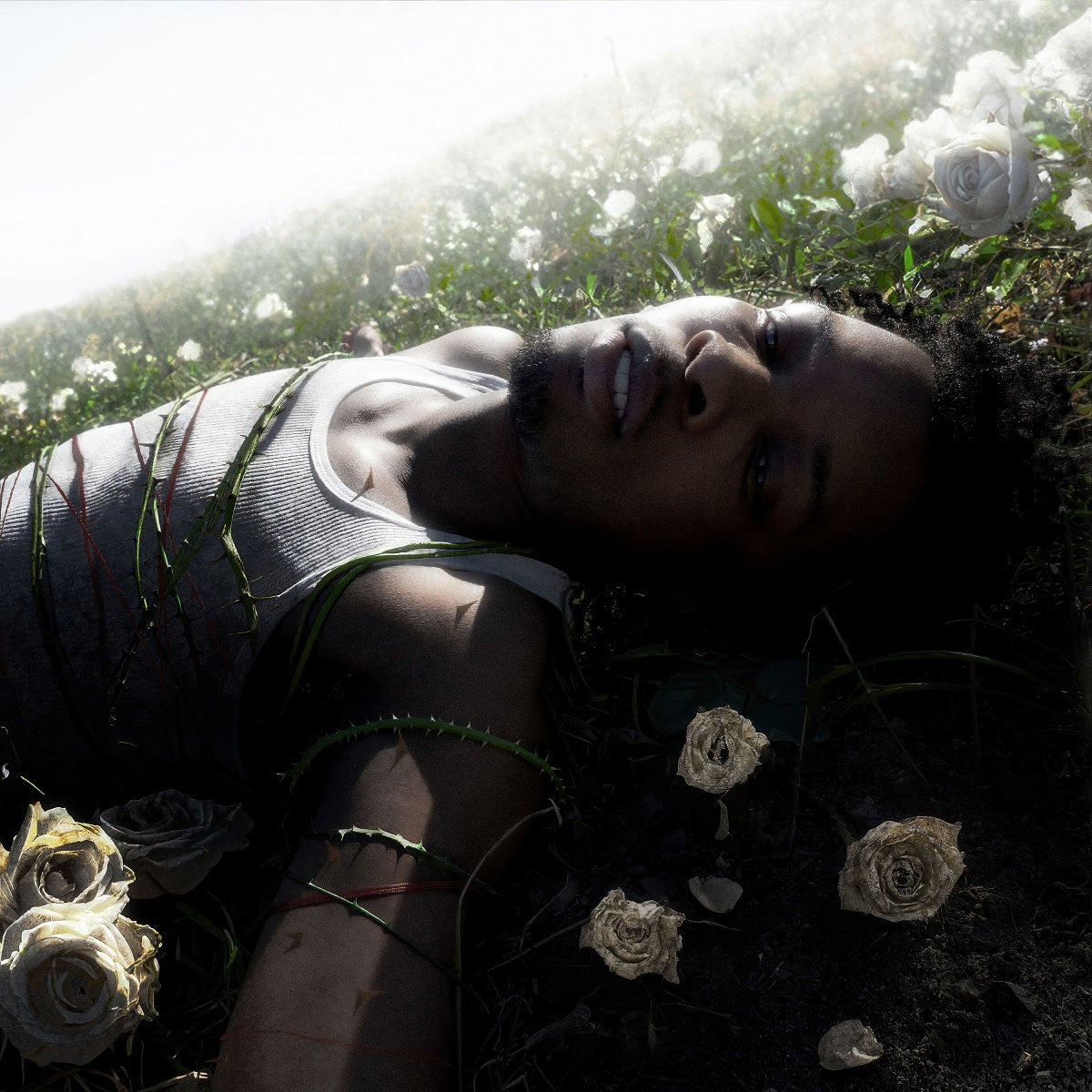 Withered |