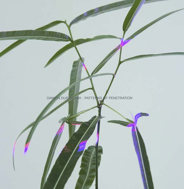 DAMIEN DUBROVNIK - Patterns of Penetration |