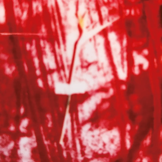 D.A.N. - Sundance |
