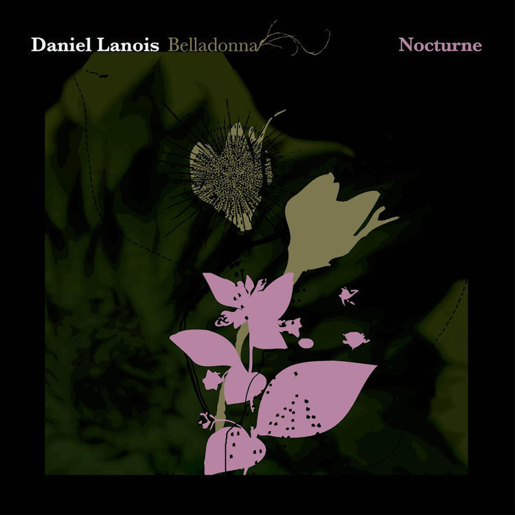 Belladonna Nocturne |