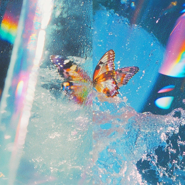 Daphni - Butterfly [CD] |