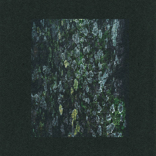 The Walker/Kilter - Remixes |