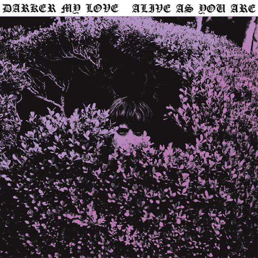 Darker My Love - Alive As You Are |
