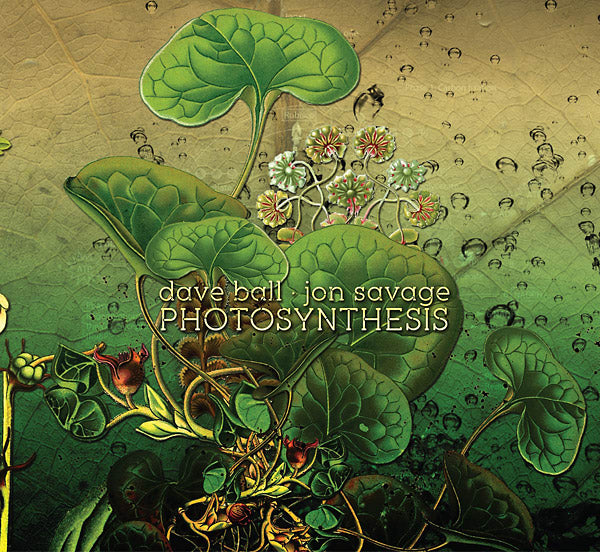 Photosynthesis |