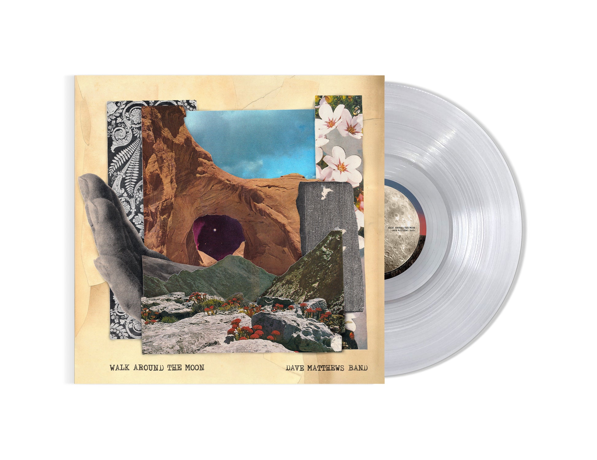 Walk Around The Moon CLEAR | Mint (M) Mint (M) - ALT/INDIE *COLOR*