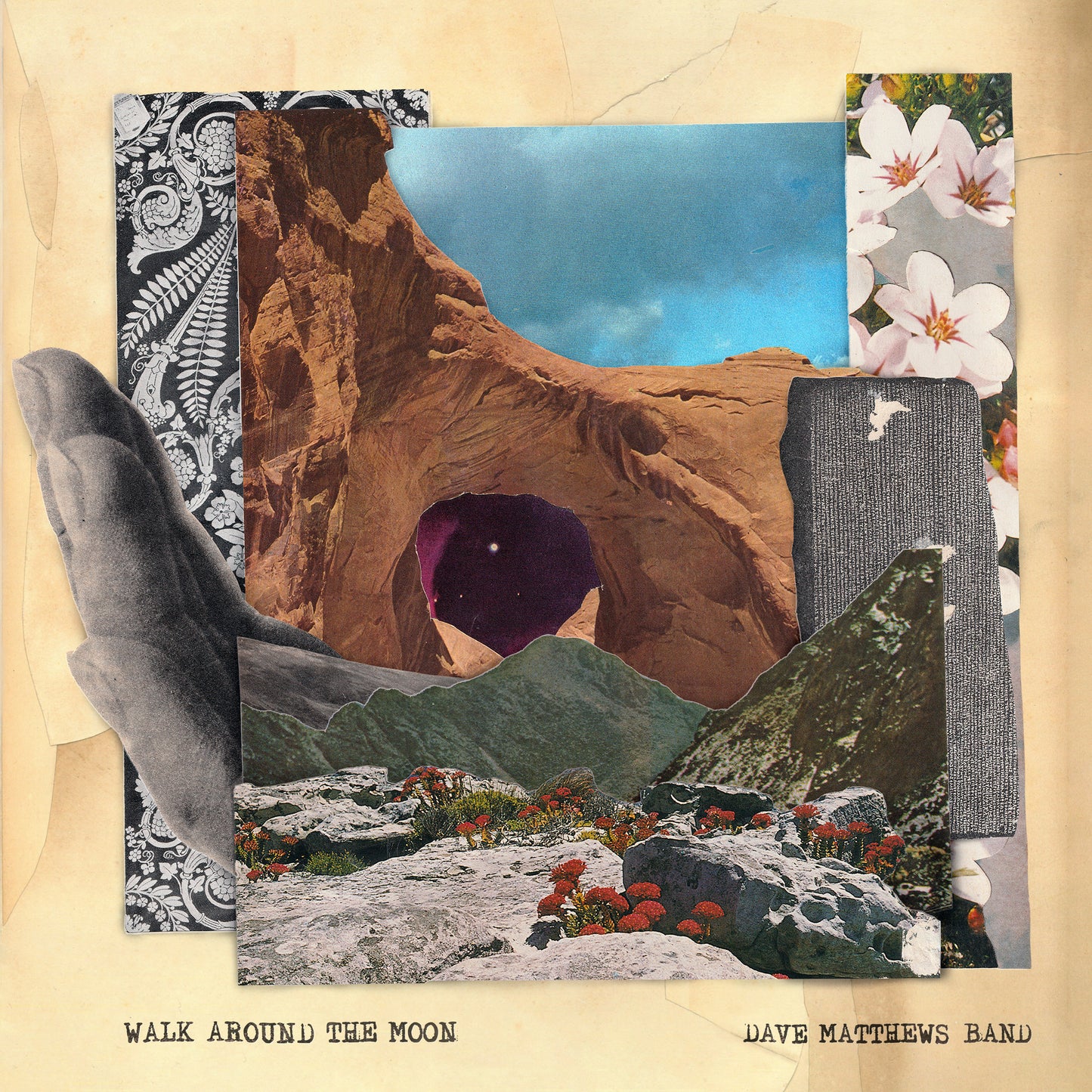 Walk Around The Moon (Wide Vinyl, Black) | Mint (M) Mint (M) - ALT/INDIE