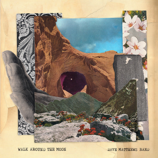 Walk Around The Moon (Wide Vinyl, Black) | Mint (M) Mint (M) - ALT/INDIE