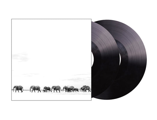 Where Are You Going: The Singles (2 Lp's) |