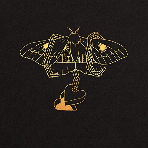 David Gray - Gold in a Brass Age (180 Gram Vinyl) (2 Lp's) |