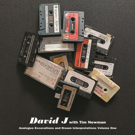 Analogue Excavations & Dream Interpretations Vol.1 |