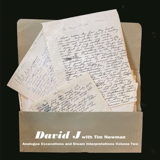Analogue Excavations & Dream Interpretations Vol.2 |