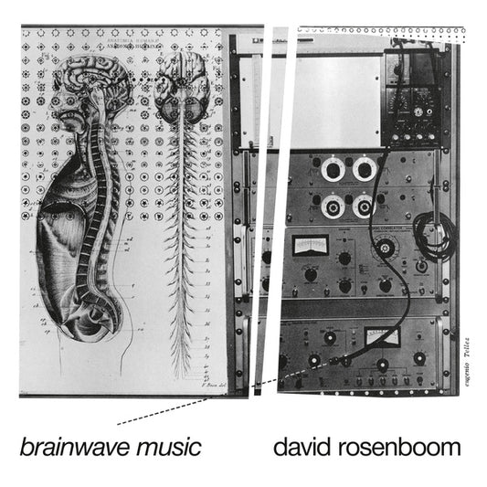 David Rosenboom - Brainwave Music |