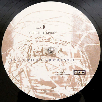Into The Labyrinth | Mint (M) Mint (M) - POST-PUNK