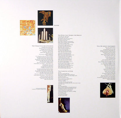 Into The Labyrinth | Mint (M) Mint (M) - POST-PUNK