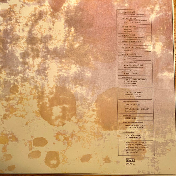 Toward The Within | Mint (M) Mint (M) - POST PUNK *SEALED*