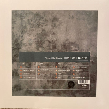 Toward The Within | Mint (M) Mint (M) - POST PUNK *SEALED*
