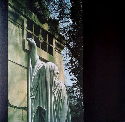 Within The Realm Of A Dying Sun | Mint (M) Mint (M) - POST-PUNK