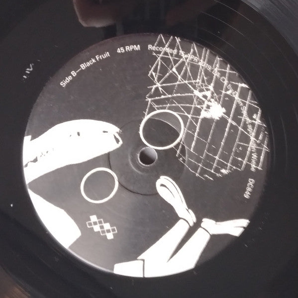 The Echoing Shell | Mint (M) Mint (M) - EXPERIMENTAL