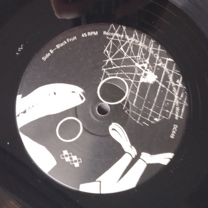 The Echoing Shell | Mint (M) Mint (M) - EXPERIMENTAL