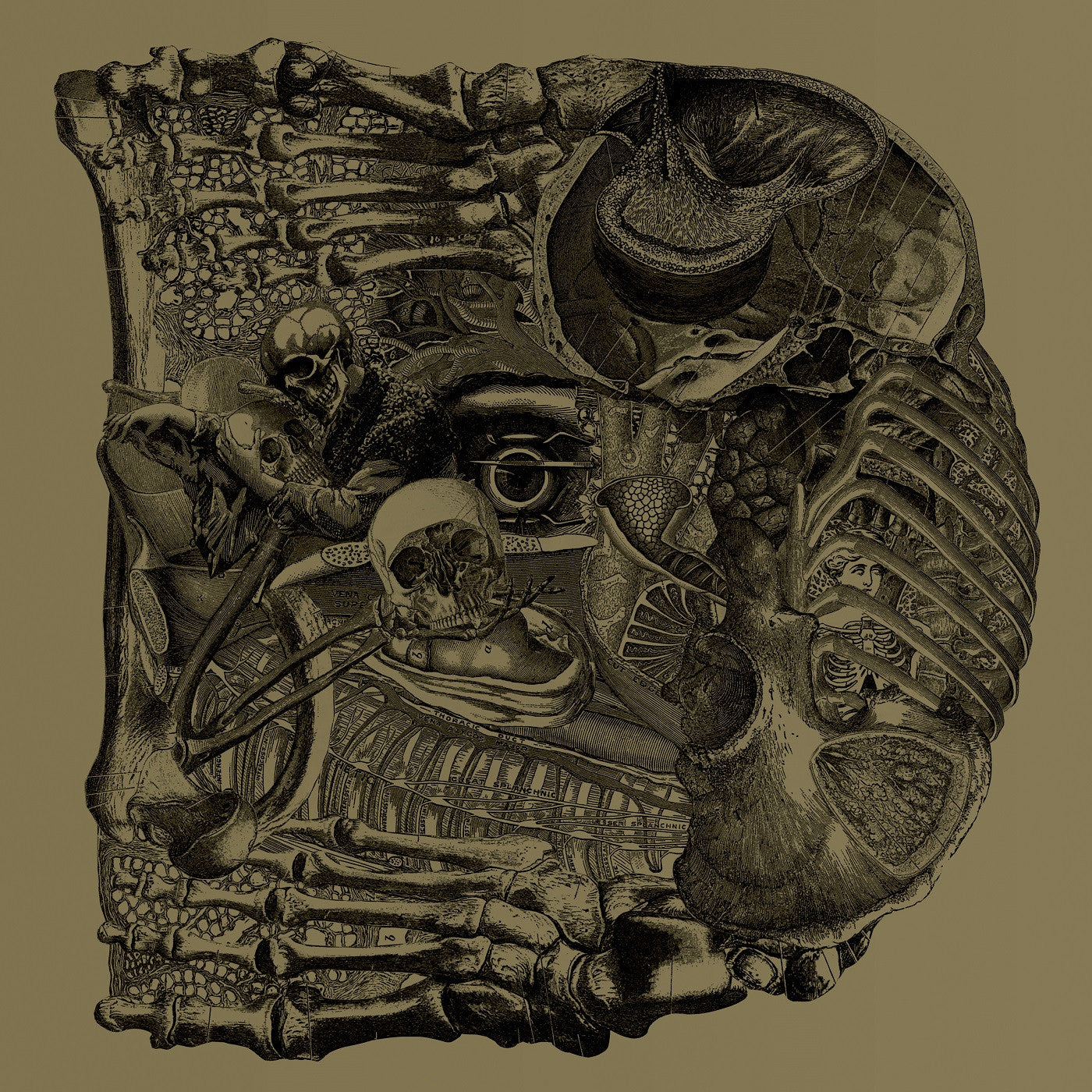 Boris - Dear (CD) |