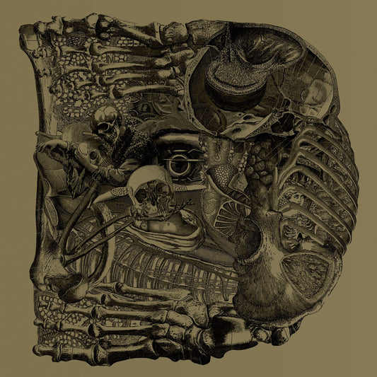 Boris - Dear (CD) |