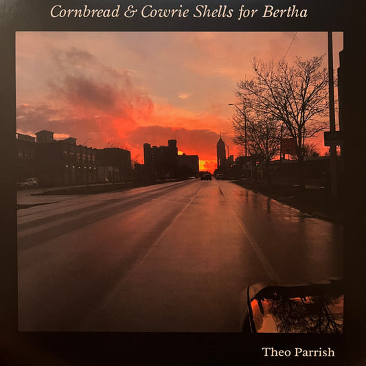 Cornbread & Cowrie Shells For Bertha | Mint (M) Mint (M) - DEEP HOUSE/DOWNTEMPO
