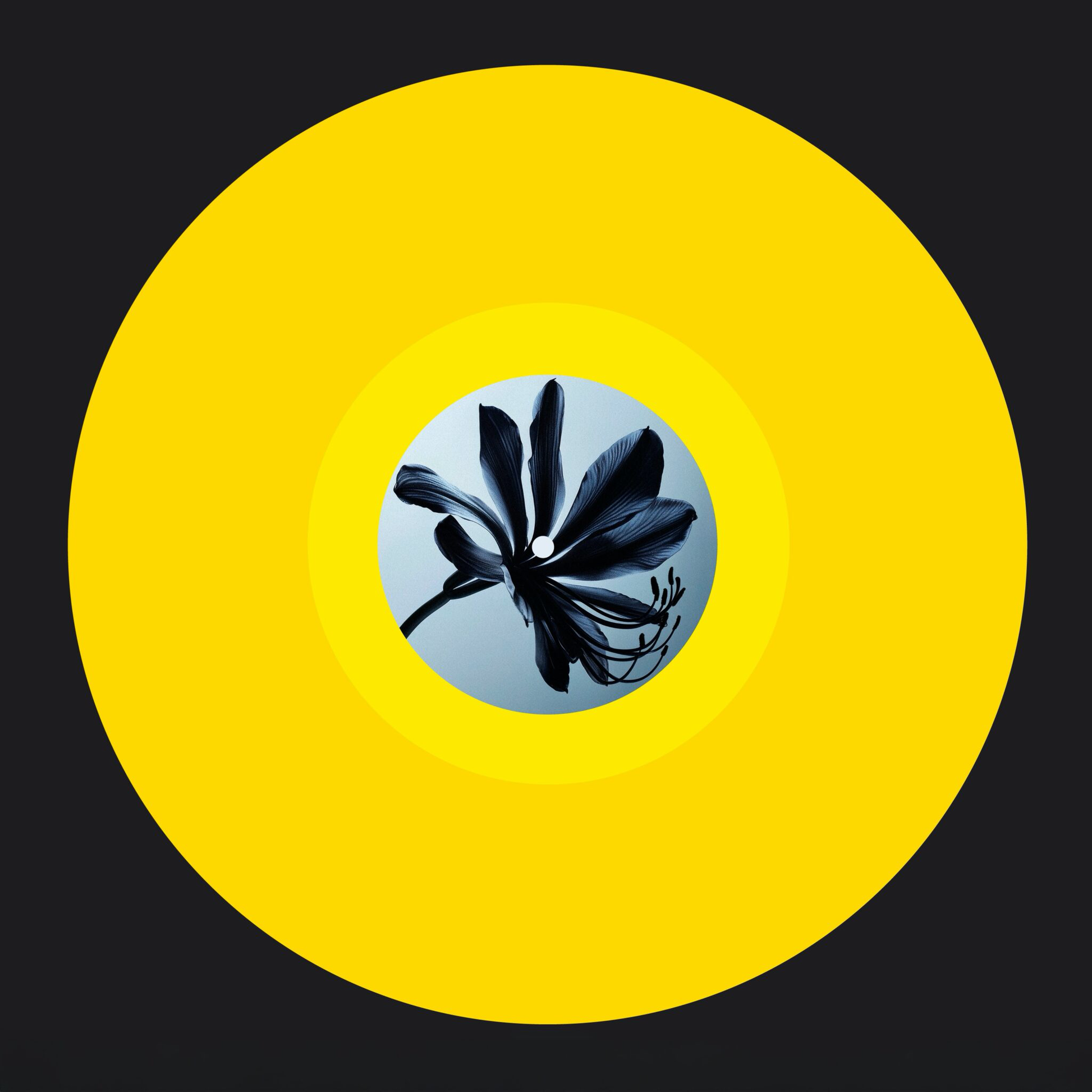 (PRESALE 6/1/26) Glimpse Of Light (Fred Everything & Lee Curtiss Reworks) (YELLOW VINYL) | Mint (M) Mint (M) - DEEP HOUSE *NEW/COLOR*