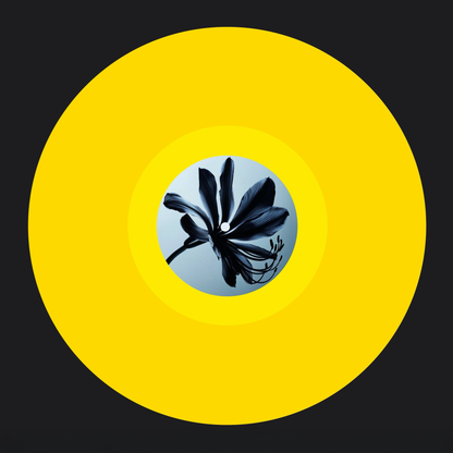 (PRESALE 6/1/26) Glimpse Of Light (Fred Everything & Lee Curtiss Reworks) (YELLOW VINYL) | Mint (M) Mint (M) - DEEP HOUSE *NEW/COLOR*