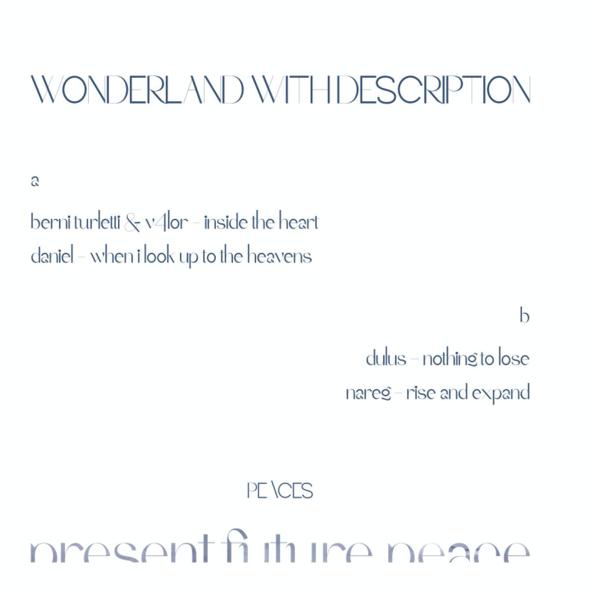 Various - (PRESALE TBD) Wonderland With Description (WHITE VINYL) | Mint (M) Mint (M) - DEEP HOUSE *NEW/COLOR*