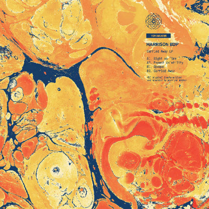 Carried Away EP (VINYL) | - DEEP HOUSE *NEW*