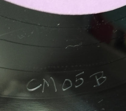 Love Is Stronger Than Pride (House Mixes) | Mint (M) Generic