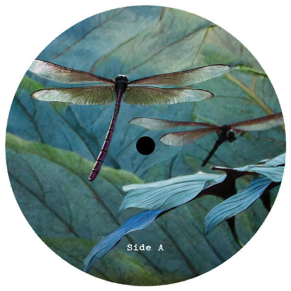 Internal Flight EP | Mint (M) Mint (M)