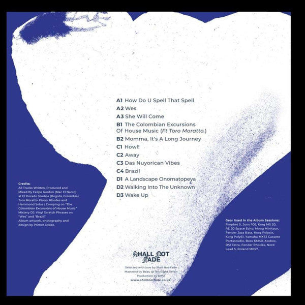 A Landscape Onomatopeya (2xVINYL) | Mint (M) Mint (M) - DEEP HOUSE *NEW*