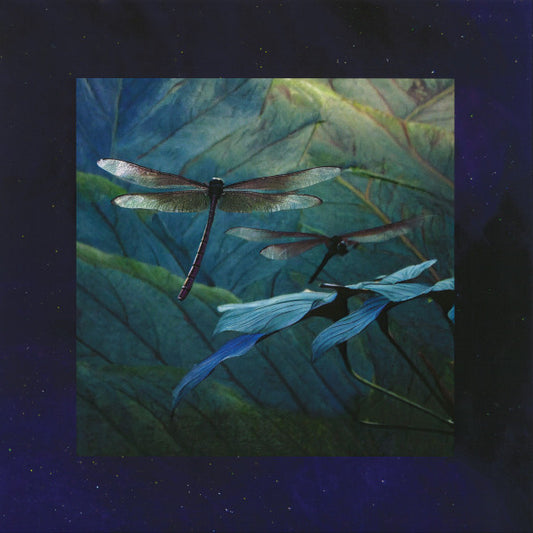 Internal Flight EP | Mint (M) Mint (M)