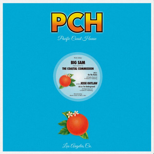 Coastal Commission - (PRESALE 6/15/26) On the Rocks (VINYL) | Mint (M) Mint (M) - DEEP HOUSE *NEW*