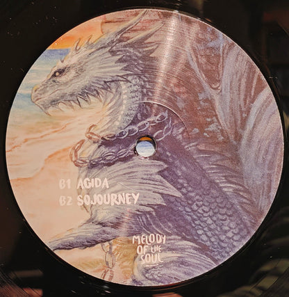 Dark Side / Sojourney (VINYL 12") | Mint (M) Mint (M) - DEEP HOUSE *NEW*